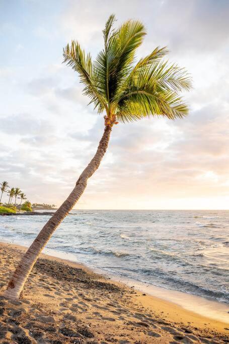 Unit A Kaiupoho - Island Elegance: Prime Spot Appartamento Kailua-Kona